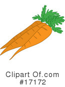 Carrots Clipart #17172 by Maria Bell