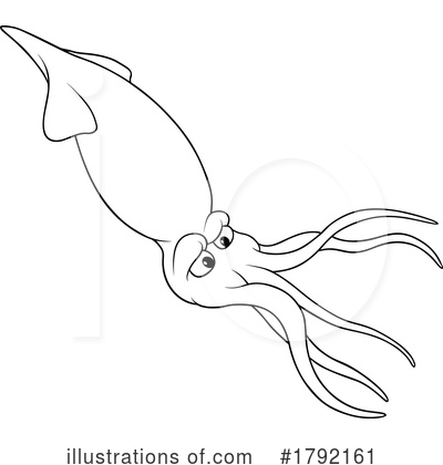 Squid Clipart #1792161 by dero