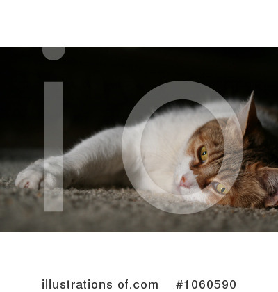 Cat Clipart #1060590 by Kenny G Adams