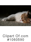 Cat Clipart #1060590 by Kenny G Adams