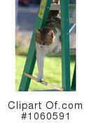 Cat Clipart #1060591 by Kenny G Adams