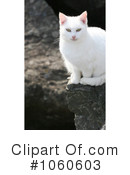 Cat Clipart #1060603 by Kenny G Adams
