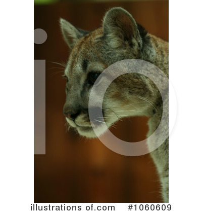 Royalty-Free (RF) Cat Clipart Illustration by Kenny G Adams - Stock Sample #1060609