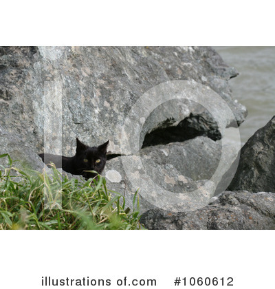 Royalty-Free (RF) Cat Clipart Illustration by Kenny G Adams - Stock Sample #1060612