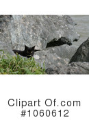 Cat Clipart #1060612 by Kenny G Adams