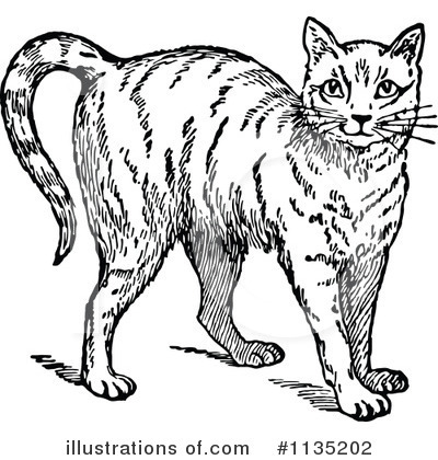 Royalty-Free (RF) Cat Clipart Illustration by Prawny Vintage - Stock Sample #1135202