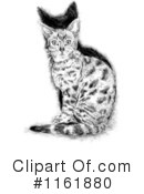 Cat Clipart #1161880 by lineartestpilot