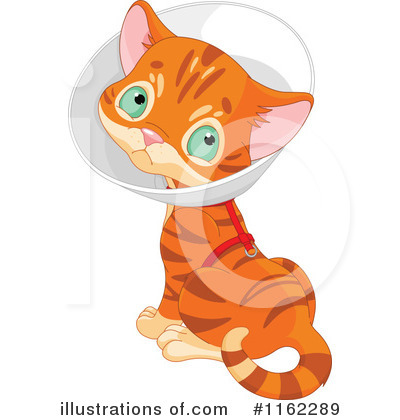 Orange Cat Clipart #1162289 by Pushkin