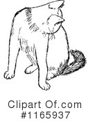 Cat Clipart #1165937 by Prawny Vintage