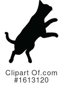 Cat Clipart #1613120 by AtStockIllustration