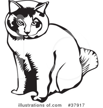 Cat Clipart #37917 by David Rey