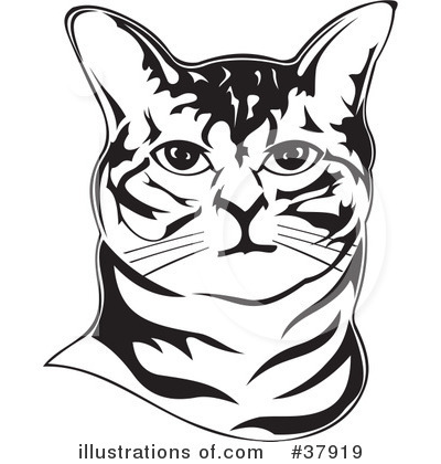Royalty-Free (RF) Cat Clipart Illustration by David Rey - Stock Sample #37919