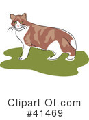 Cat Clipart #41469 by Prawny