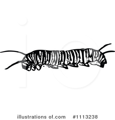 Royalty-Free (RF) Caterpillar Clipart Illustration by Prawny Vintage - Stock Sample #1113238