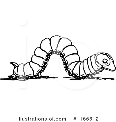 Insect Clipart #1166612 by Prawny Vintage