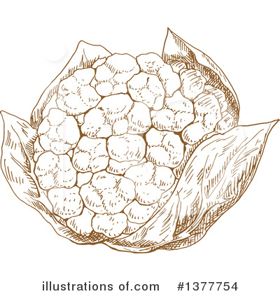 Royalty-Free (RF) Cauliflower Clipart Illustration by Vector Tradition SM - Stock Sample #1377754