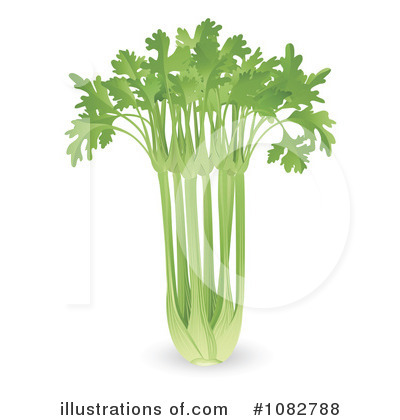 Celery Clipart #1082788 by AtStockIllustration