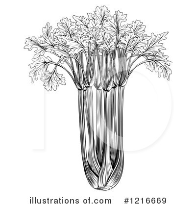 Celery Clipart #1216669 by AtStockIllustration