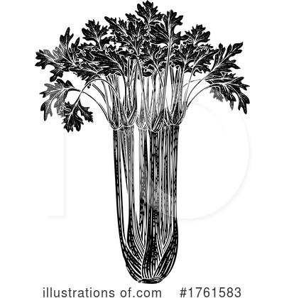 Royalty-Free (RF) Celery Clipart Illustration by AtStockIllustration - Stock Sample #1761583