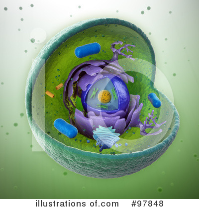 Cells Clipart #97848 by Mopic