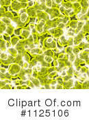 Cells Clipart #1125106 by Ralf61