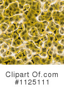 Cells Clipart #1125111 by Ralf61