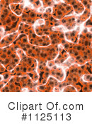 Cells Clipart #1125113 by Ralf61