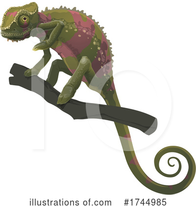 Chameleon Clipart #1744985 by Vector Tradition SM