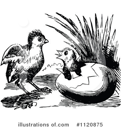 Royalty-Free (RF) Chick Clipart Illustration by Prawny Vintage - Stock Sample #1120875