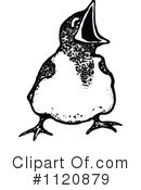 Chick Clipart #1120879 by Prawny Vintage