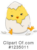 Chick Clipart #1235011 by BNP Design Studio