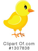 Chick Clipart #1307838 by visekart