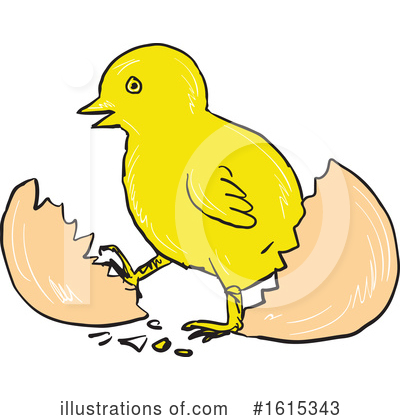 Royalty-Free (RF) Chick Clipart Illustration by patrimonio - Stock Sample #1615343
