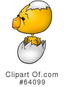 Chick Clipart #64099 by dero