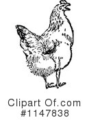 Chicken Clipart #1147838 by Prawny Vintage