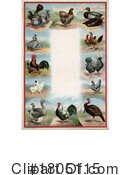 Chicken Clipart #1805115 by JVPD