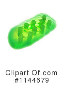 Chloroplast Clipart #1144679 by Mopic