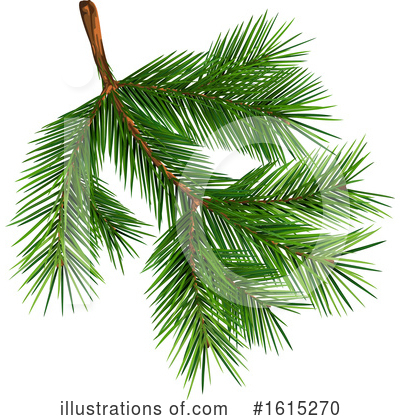 Branches Clipart #1615270 by dero