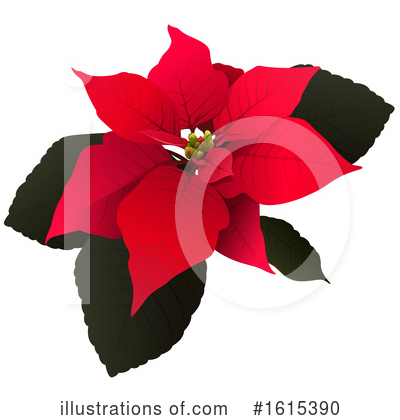 Poinsettia Clipart #1615390 by dero