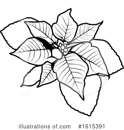 Poinsettia Clipart #1615391 by dero