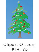 Christmas Tree Clipart #14173 by Rasmussen Images