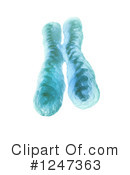 Chromosome Clipart #1247363 by Mopic