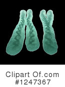 Chromosome Clipart #1247367 by Mopic