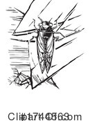 Cicada Clipart #1744563 by xunantunich