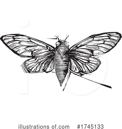 Cicada Clipart #1745133 by xunantunich