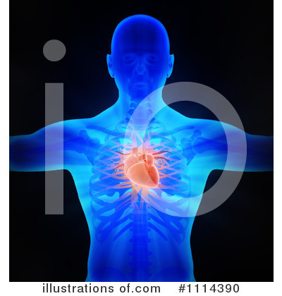 Human Heart Clipart #1114390 by Mopic