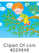 Climbing A Tree Clipart #229848 by Alex Bannykh