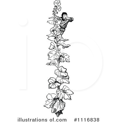 Jack And The Beanstalk Clipart #1116838 by Prawny Vintage