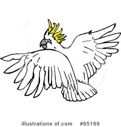 Royalty-Free (RF) Cockatoo Clipart Illustration by Dennis Holmes Designs - Stock Sample #65169