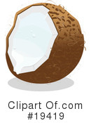 Coconut Clipart #19419 by Vitmary Rodriguez